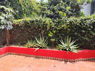 place photo 16