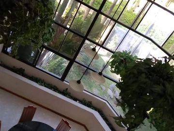place photo 50