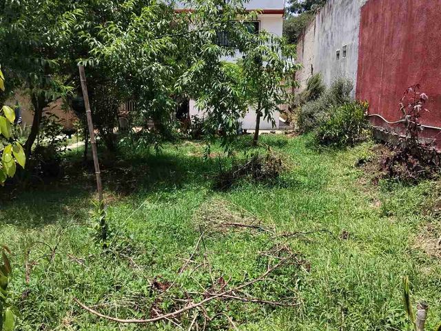 place photo 36