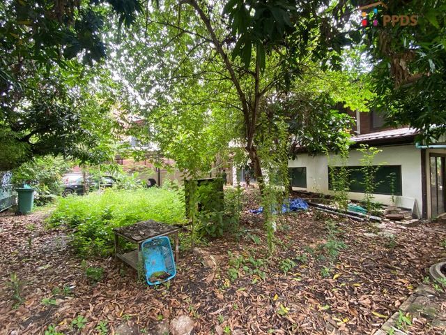 place photo 7