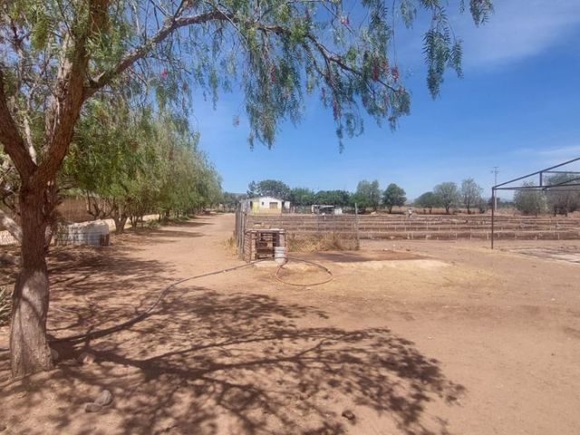 place photo 14