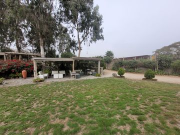 place photo 21