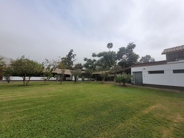 place photo 36