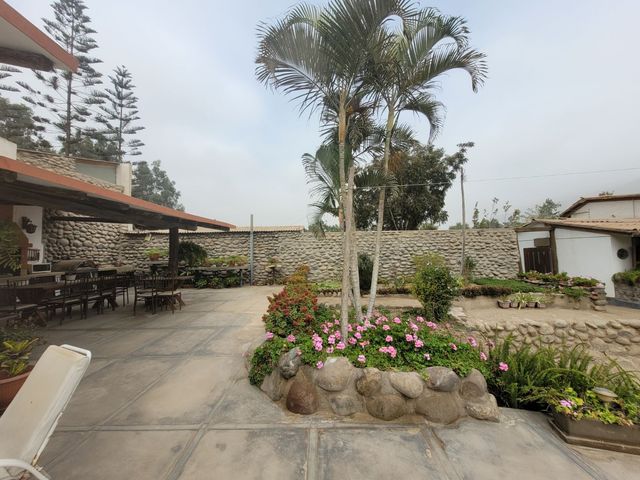 place photo 55