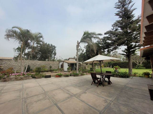 place photo 57
