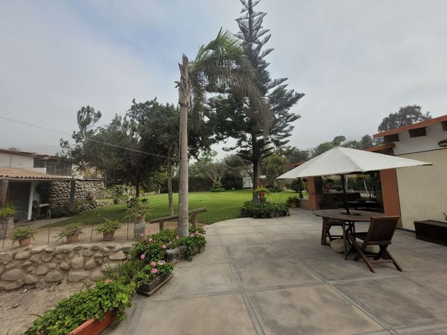 place photo 113