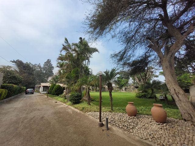 place photo 192