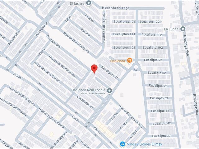 place photo 11