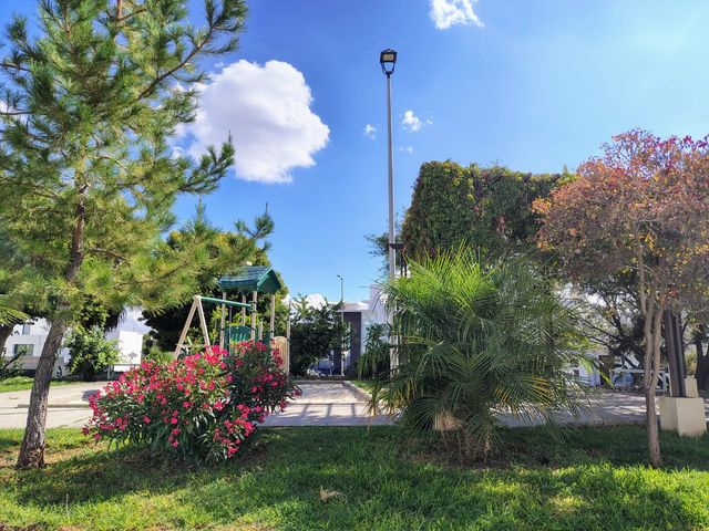 place photo 29