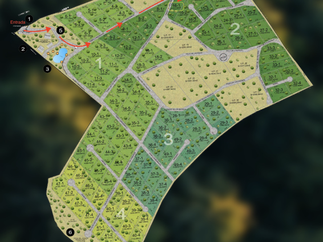 place photo 11
