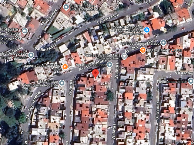 place photo 10