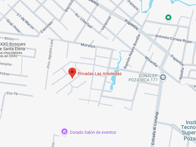 place photo 7