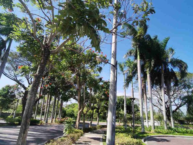 place photo 11
