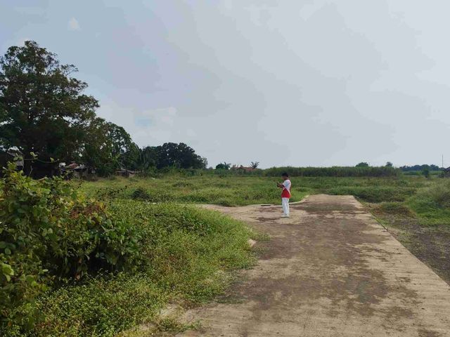 place photo 8