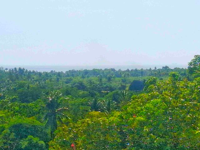 place photo 17