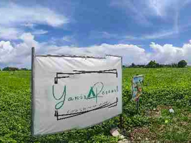 place photo 14