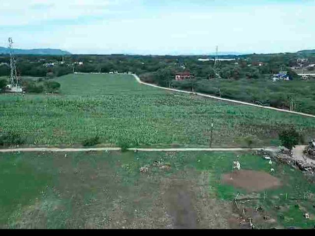 place photo 18