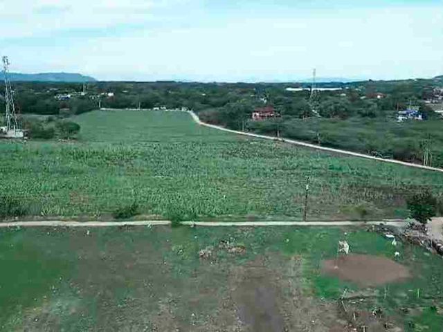 place photo 19