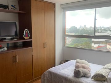 place photo 16
