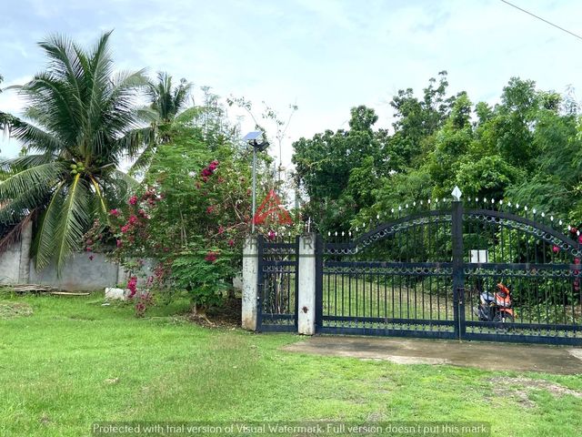 place photo 35