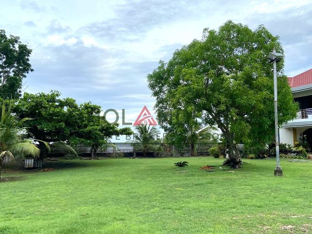 place photo 36