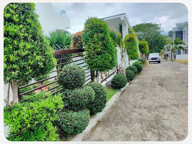 place photo 92