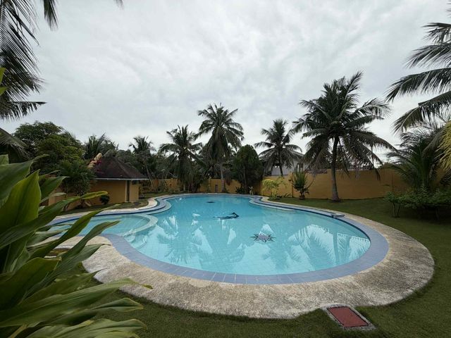 place photo 69