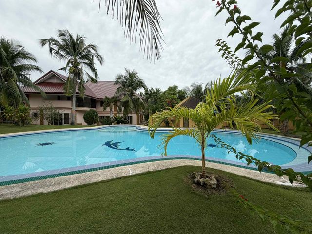 place photo 66