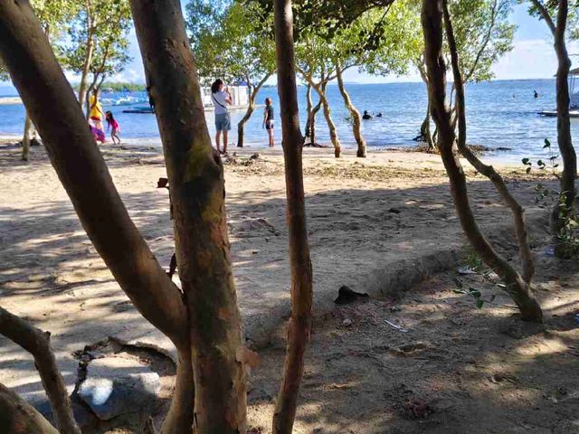 place photo 15