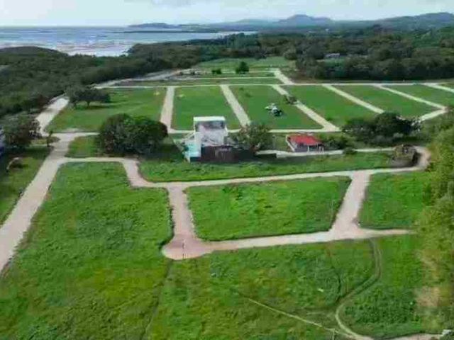 place photo 29