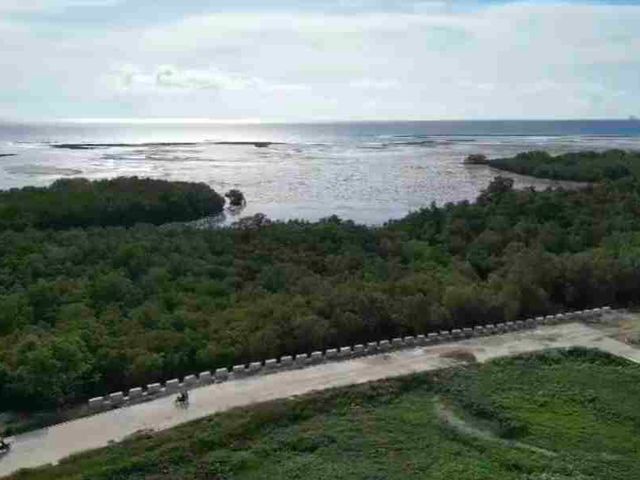 place photo 32