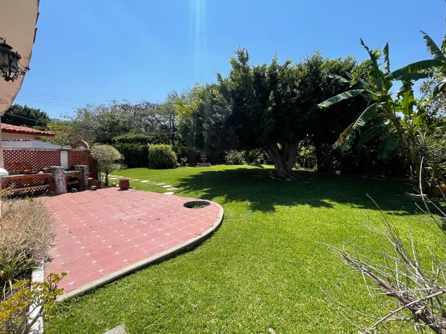 place photo 43
