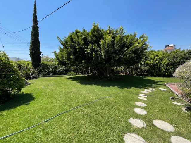 place photo 46