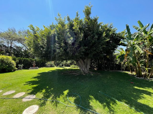 place photo 47