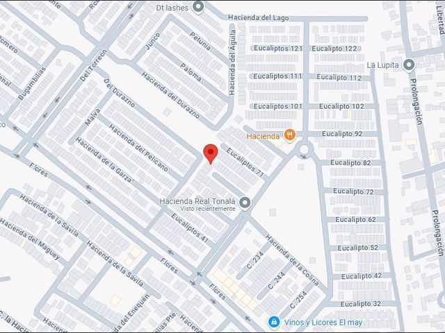 place photo 10