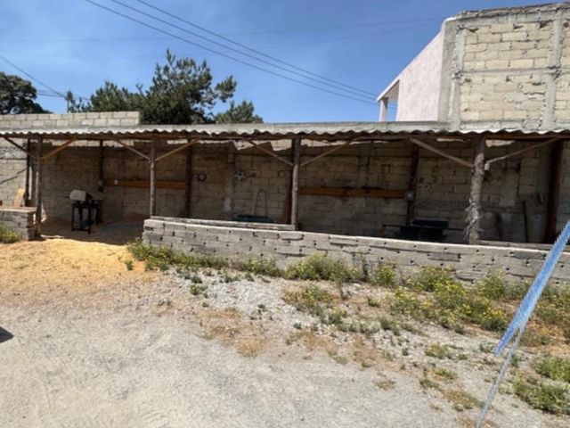 place photo 20