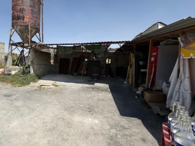 place photo 21