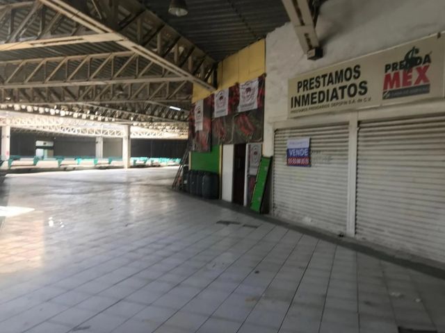 place photo 15