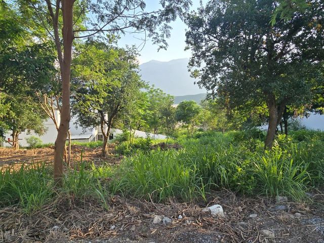 place photo 28