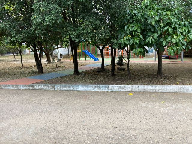 place photo 30