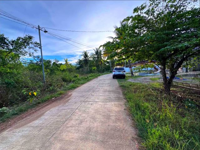 place photo 13