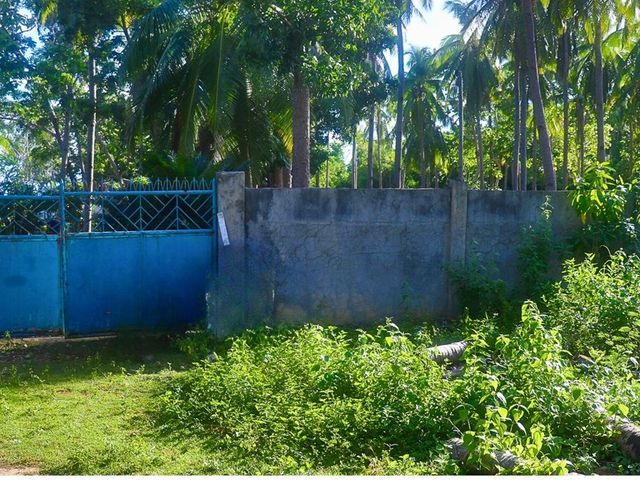 place photo 39