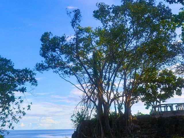 place photo 41