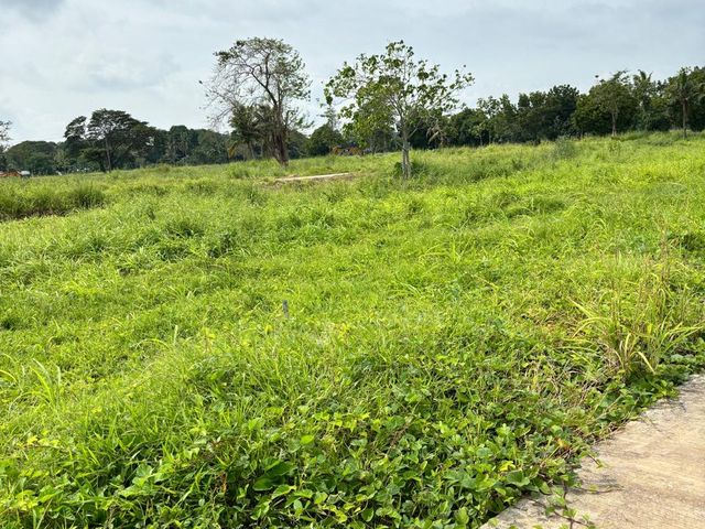 place photo 31
