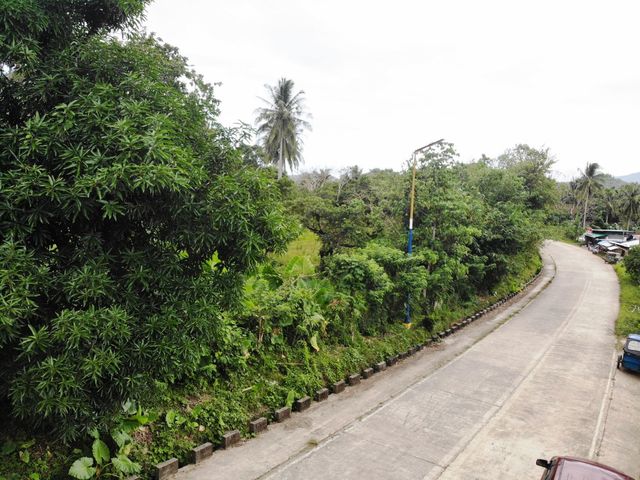 place photo 12