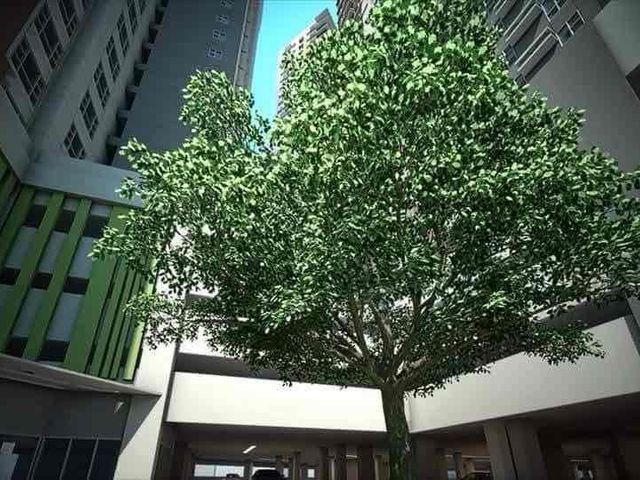 place photo 15