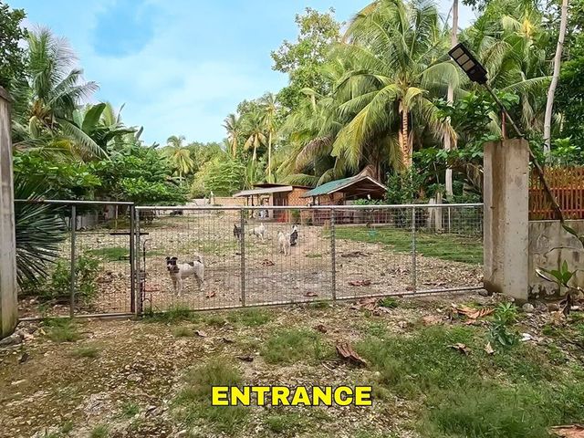 place photo 20