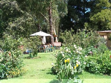 place photo 12