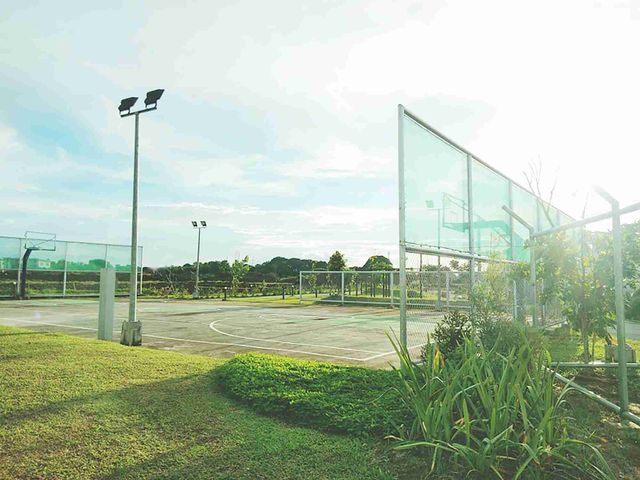 place photo 10