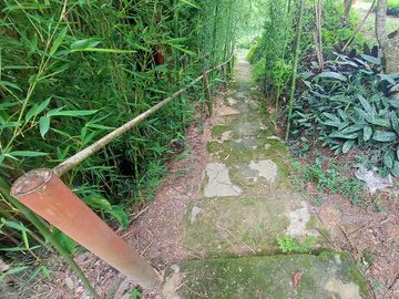place photo 30
